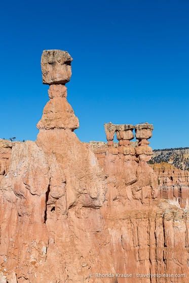 Thor's Hammer hoodoo in Bryce Canyon.