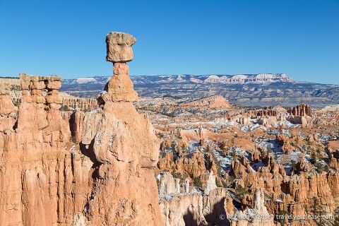 Thor's Hammer and other hoodoos in Bryce Amphitheatre.
