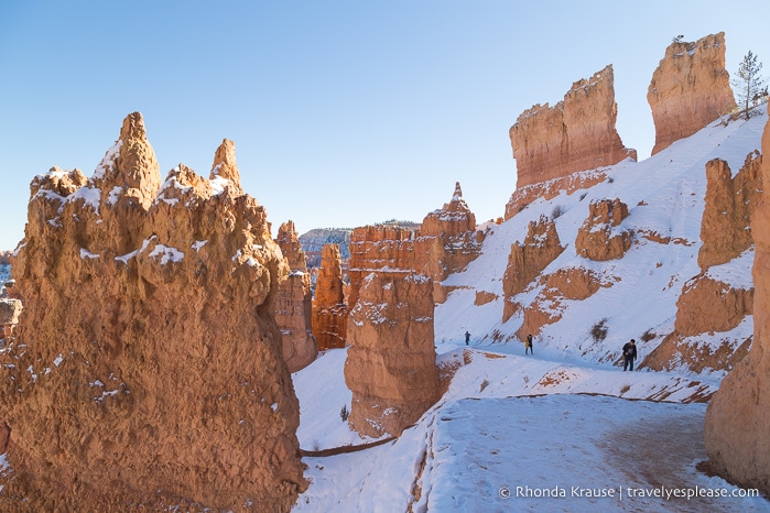 Navajo Loop Trail in winter.
