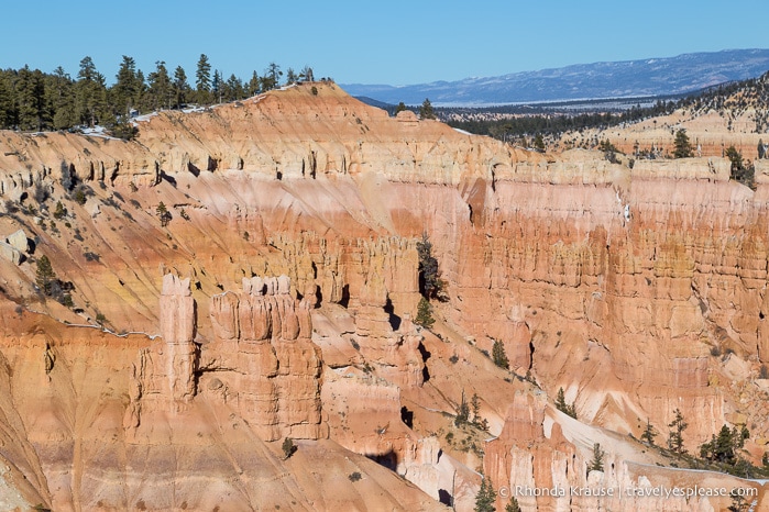 Hoodoos in Bryce Canyon.