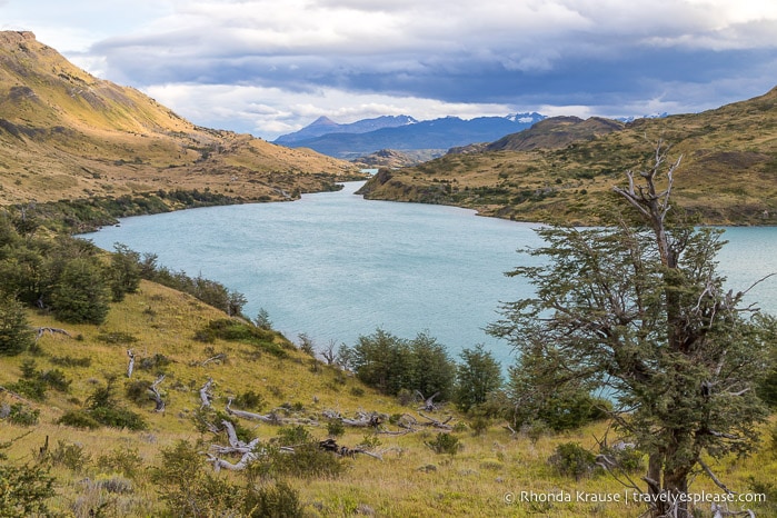 River in Torres del Paine National Park.