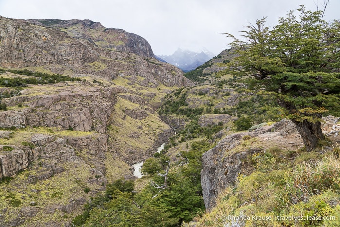 Valley seen while hiking to Laguna Torre.