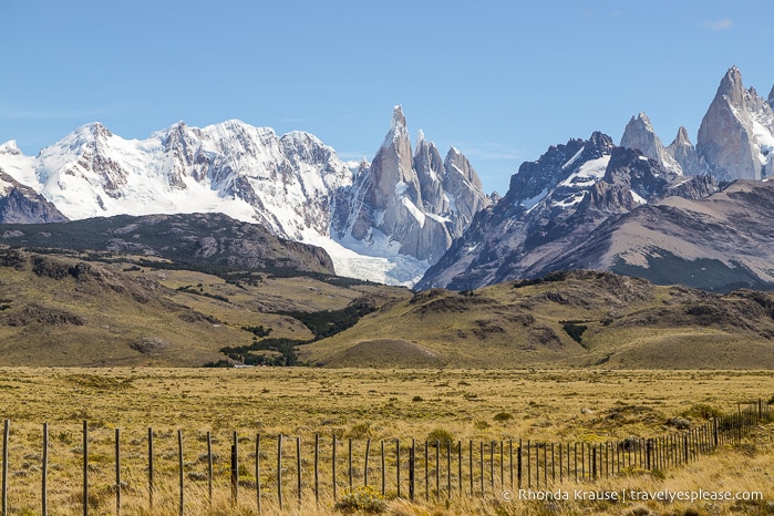 A field in front of Cerro Torre near El Chalten.