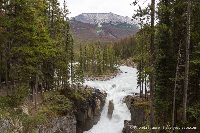 Sunwapta Falls, a must see on a Canadian Rockies road trip.