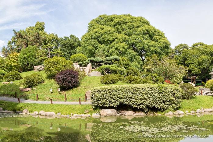 Walking path and trees beside the pond.