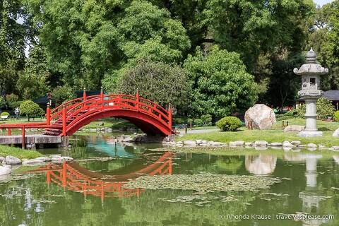 Pond, arched bridge, and stone lantern at the Buenos Aires Japanese Garden.