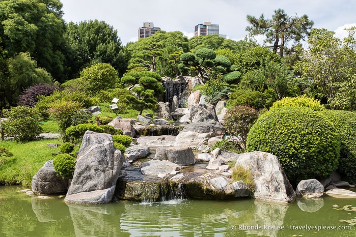 Waterfall framed by ornamental trees and shrubs.