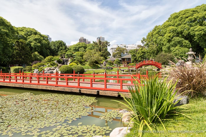 The flat bridge and arched bridge crossing the pond at the Buenos Aires Japanese Garden.