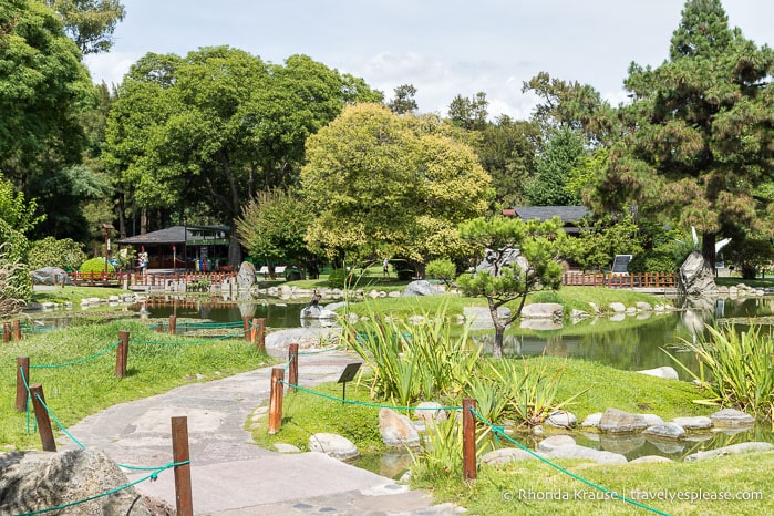 Walking path in the garden.