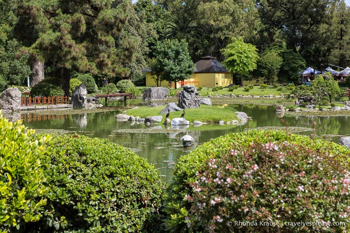 Pond at the Buenos Aires Japanese Garden.