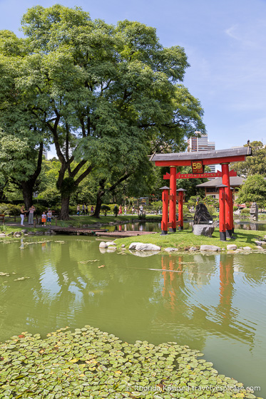 Pond and torii gate.
