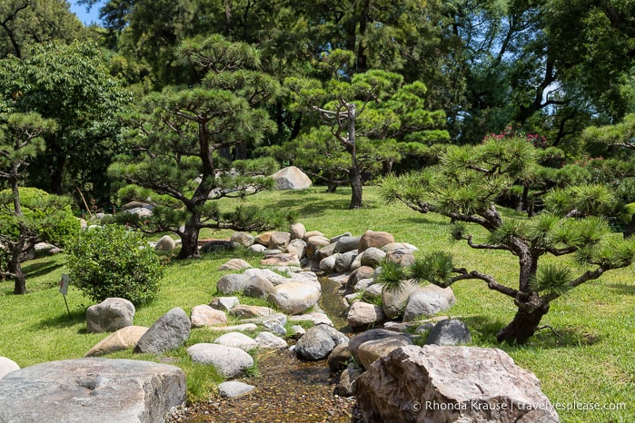 Rock framed stream flowing down a small hill with ornamental trees.