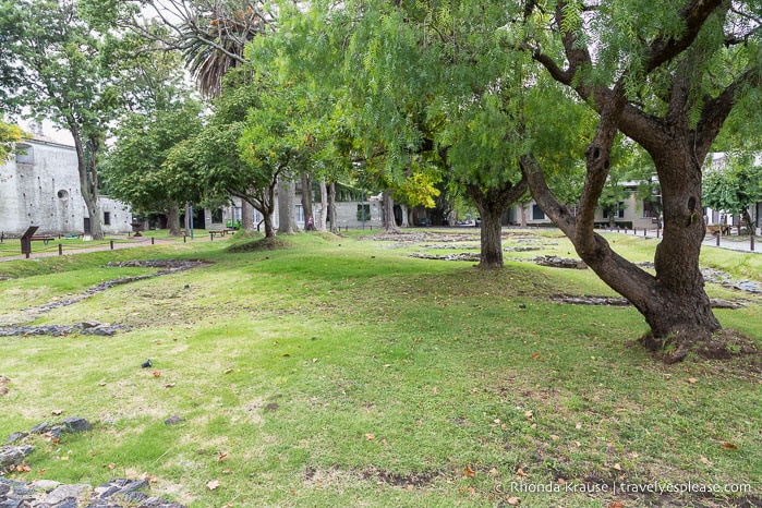 Trees and grass growing at the former site of the governor's house.