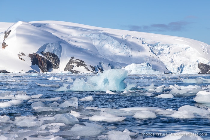 Chunks of ice floating in front of a glacier.