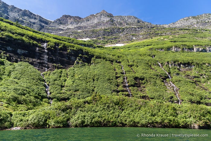 Waterfalls and lush greenery beside Cameron Lake.