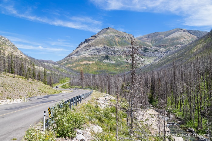 Akamina Parkway winding through a mountain valley.