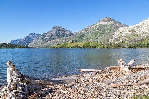 Driftwood Beach and Middle Waterton Lake.