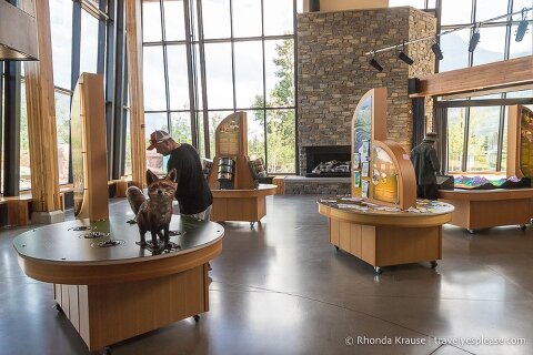 Displays inside the Waterton Lakes Visitor Centre.