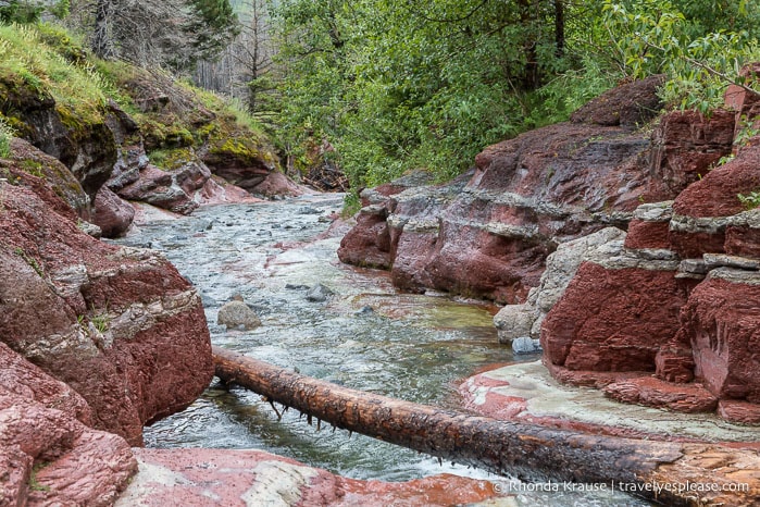 Creek in Red Rock Canyon.