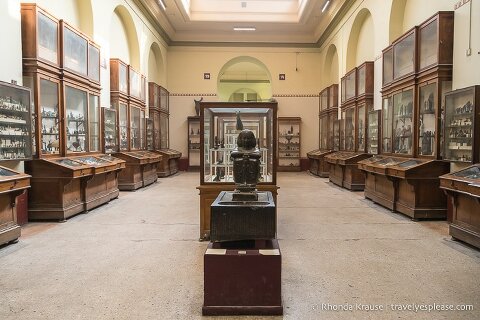 Display cases in the Egyptian Museum.