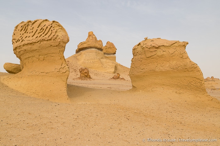 Rock formations in the desert at Wadi Al-Hitan.