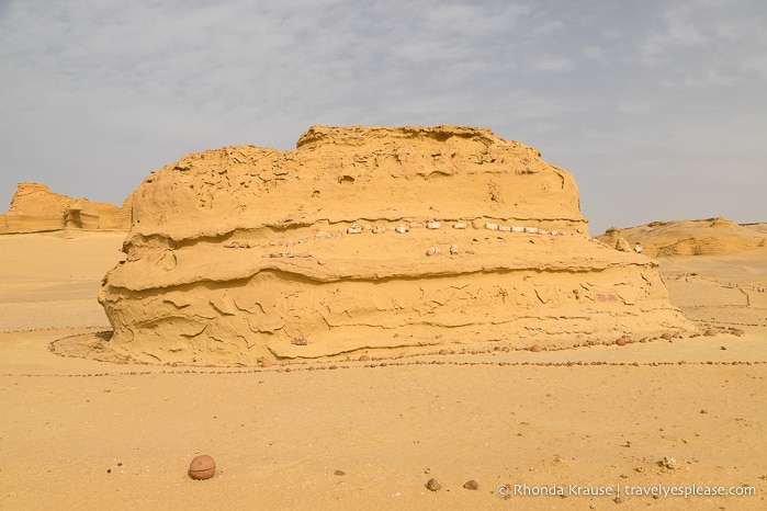 Whale skeleton on a rock formation in the desert.