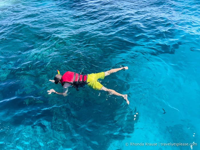 Person snorkelling in the Red Sea near Hurghada.