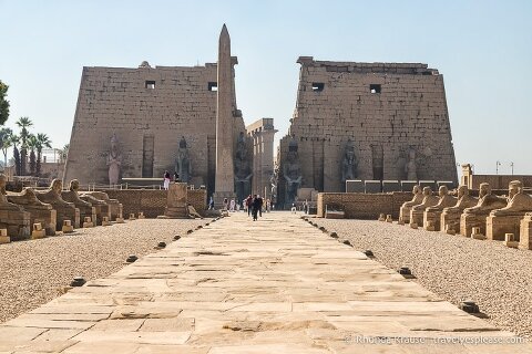 Avenue of Sphinxes leading towards Luxor Temple.