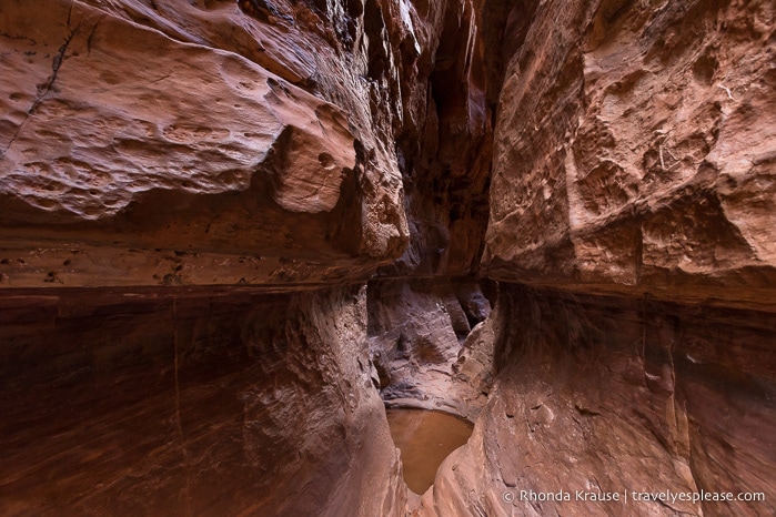 A narrow siq in Wadi Rum.