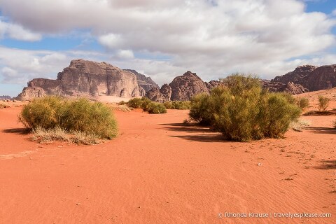 Red sand, green shrubs, and mountains in Wadi Rum.