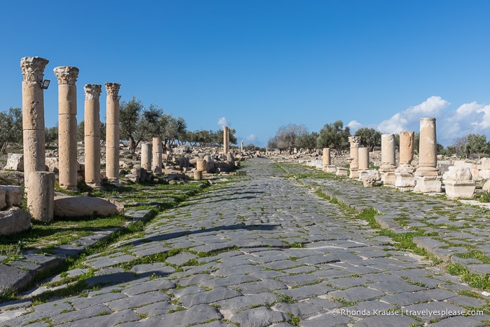 Cobblestone street lined by columns at Umm Qais.