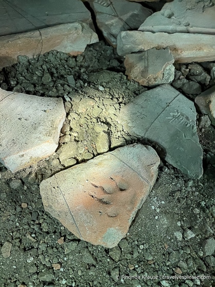 Animal footprint preserved in stone.