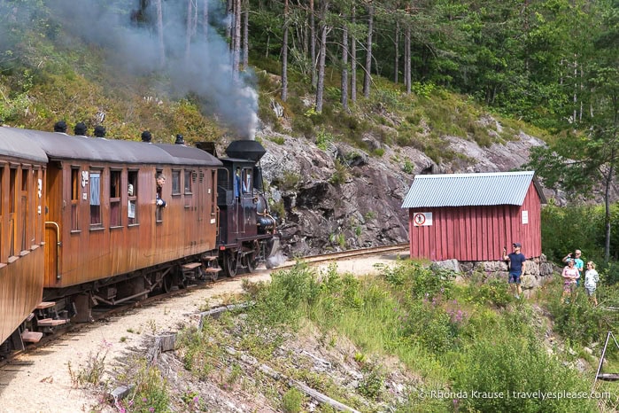 People taking pictures of the Setesdal Vintage Railway as it passes by a red shed.