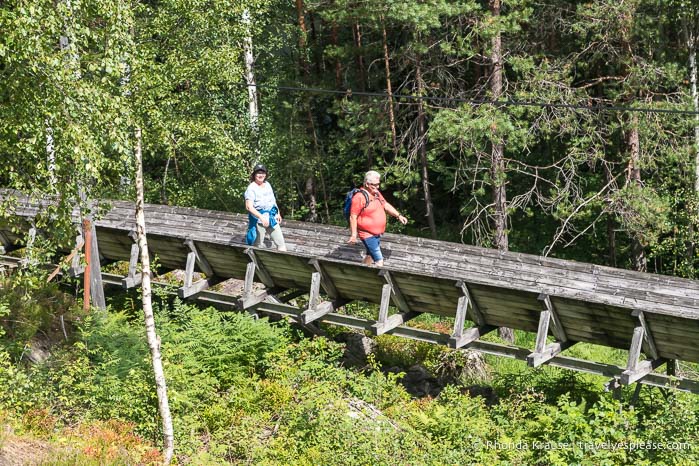 Hikers on the log chute.