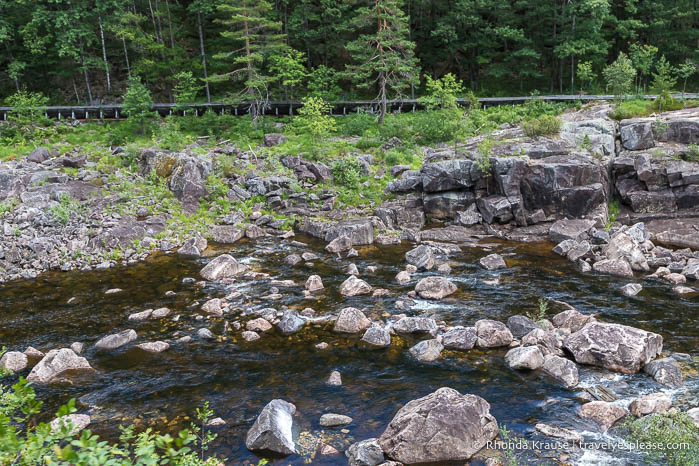 Rocks and forest beside the river.