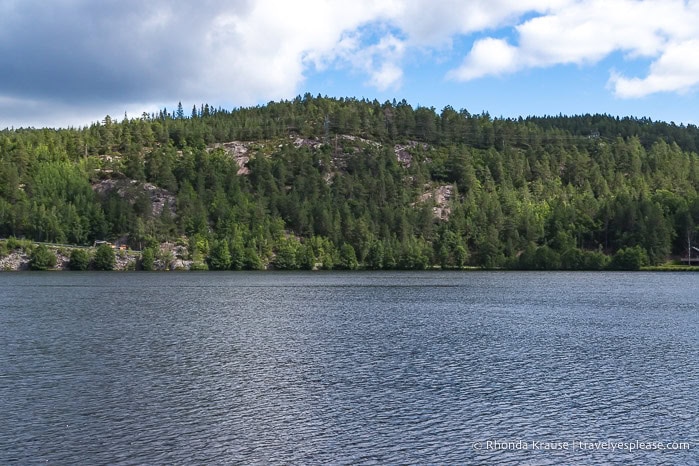 Forested hill beside the river.