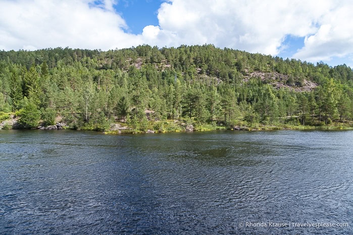 Forested hill beside the river.