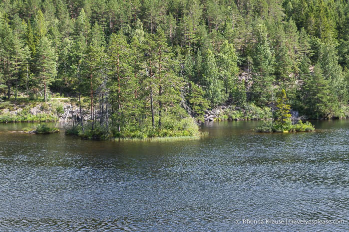 Two small forested islands in the river.