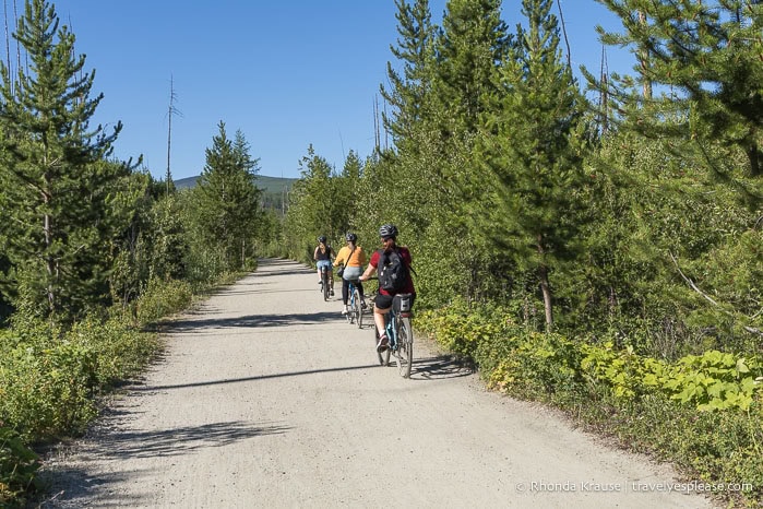 People bike riding through the forest on Myra Canyon Trail.