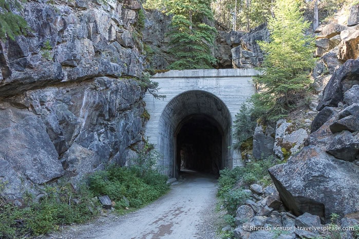 Trail going into a tunnel.