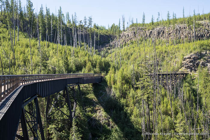 Trestle bridge in the canyon.