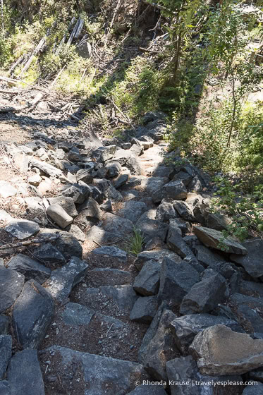 Rock staircase in the forest.