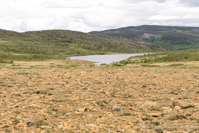Rocky field with a pond and hills in the background.