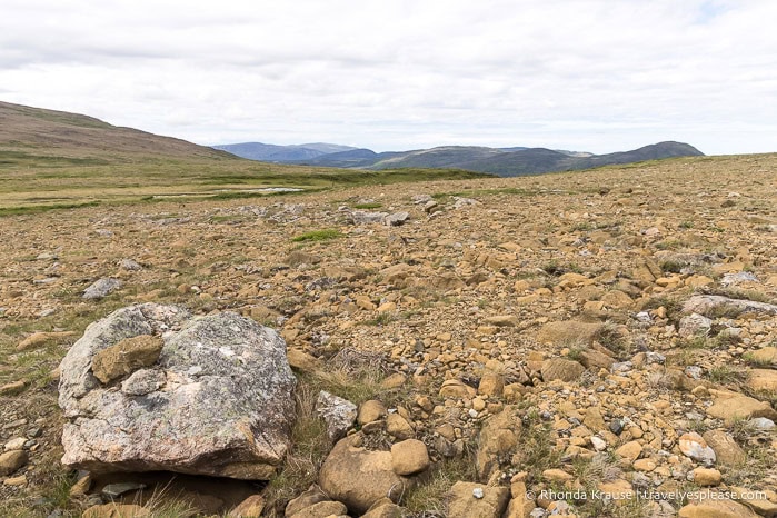 Field of rock.