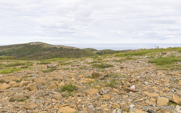 Orange rocks with a green hill in the background.