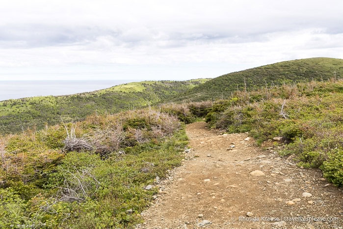 Green Gardens Trail with hills and the Gulf of St. Lawrence.