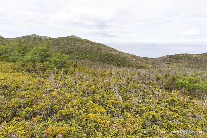 Green hills and the sea.