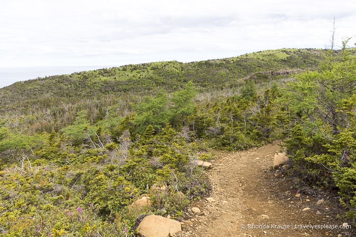 Trail with green hills.