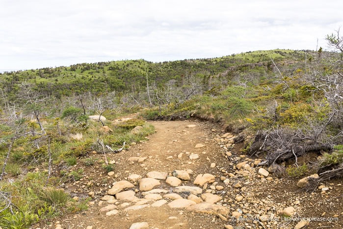 Trail with green hills.