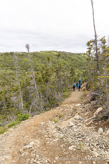 Hikers on a downhill trail.